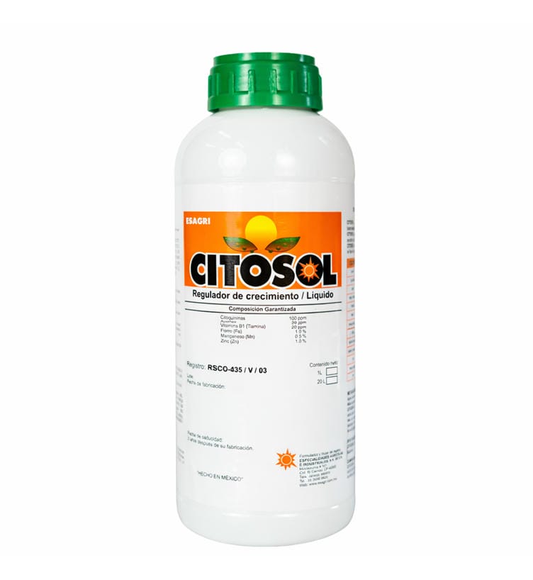 Citosol