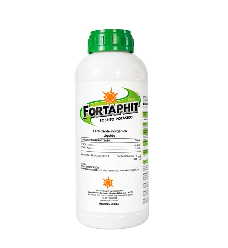 Fortaphit