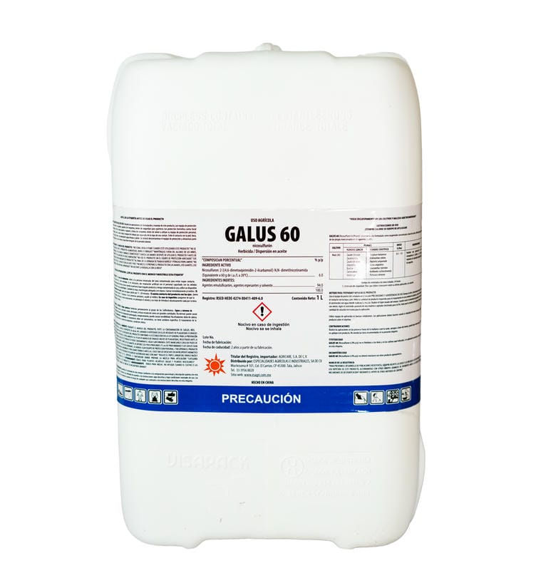 Galus 60 3