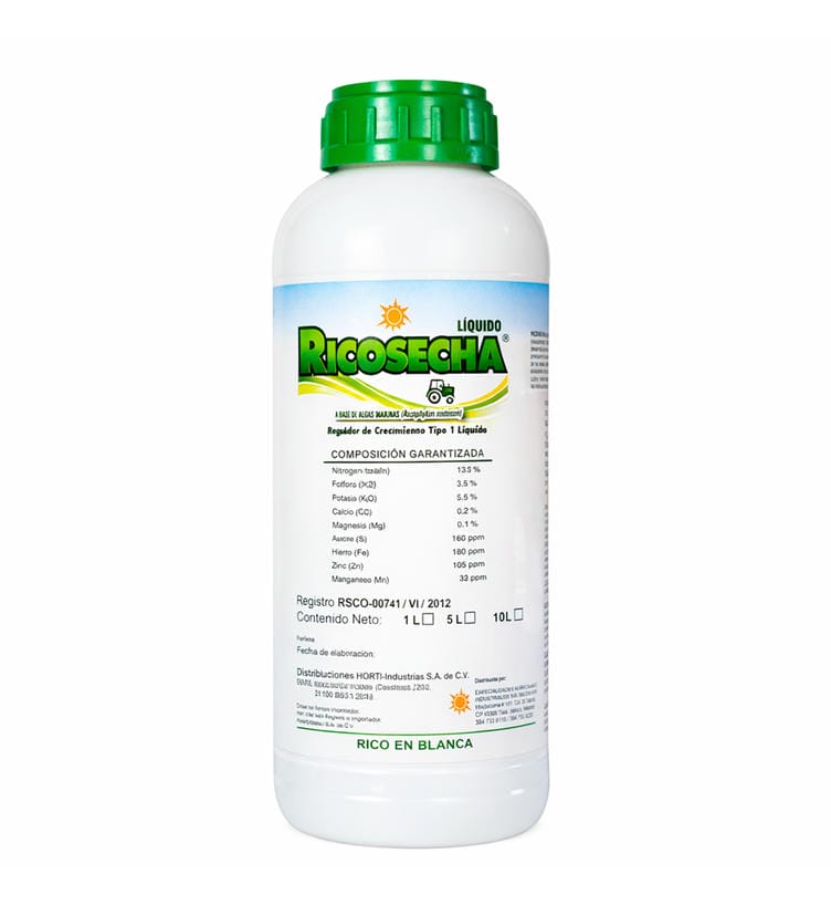 RICOSECHA